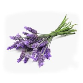 Esencia Sweet Lavender